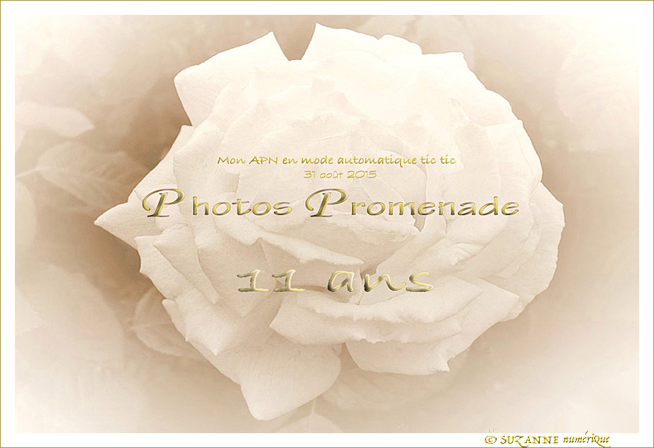 Photos Promenade a ONZE ans