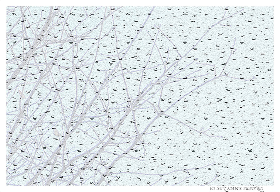 Transition -- 20/03/18
