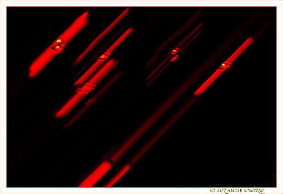 Rouge et Noir�! -- 07/09/06
