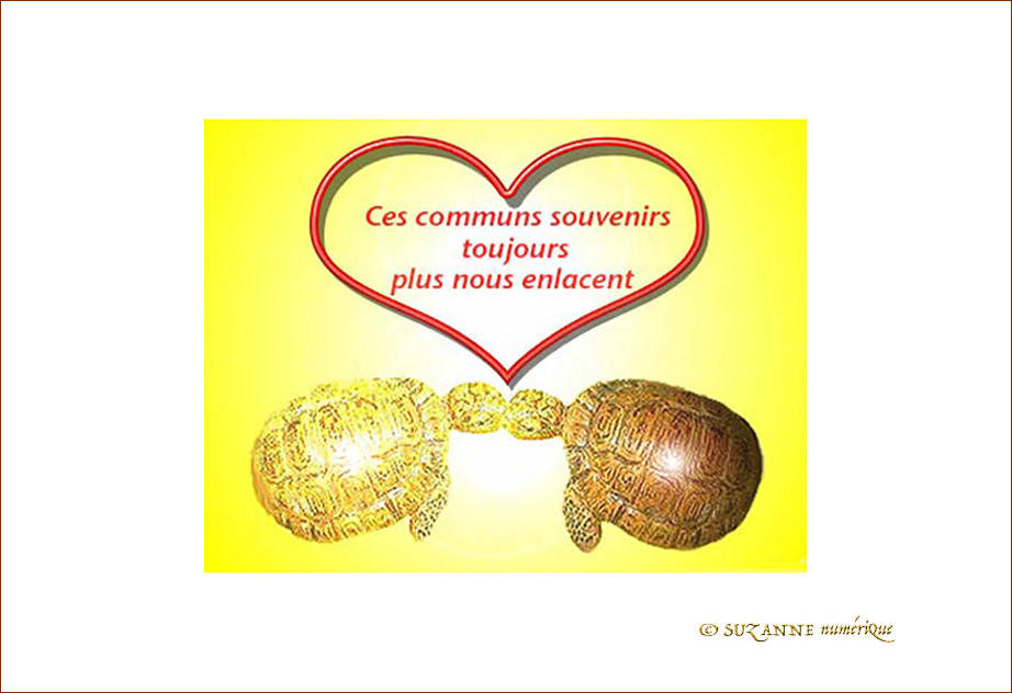 Je t'Aime plus chaque jour ...
