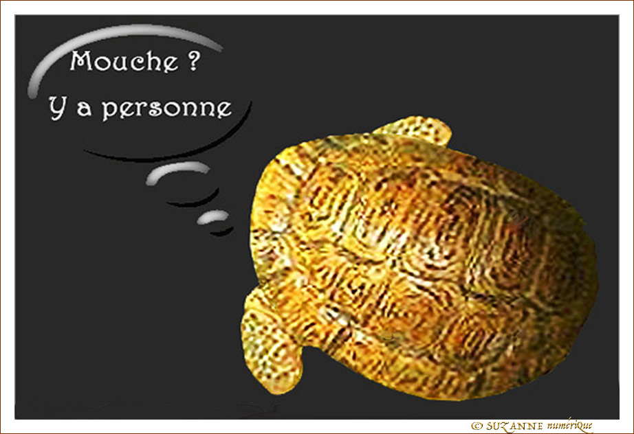 Mouche