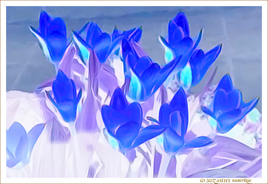 Etre ou ne pas �tre Fleur bleue�? -- 02/03/07