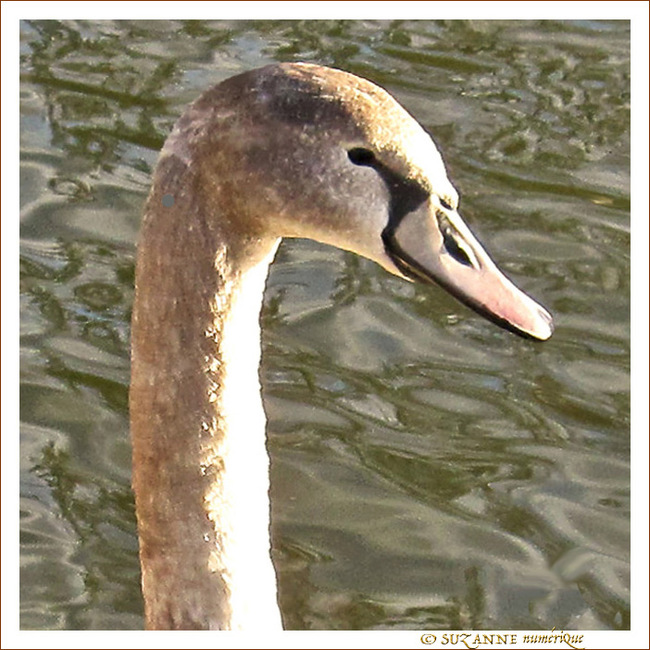 Tendre l'Oreille -- 27/04/11