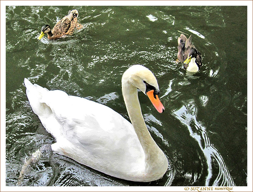 Jamais sans mes Gardes du corps -- 23/03/12