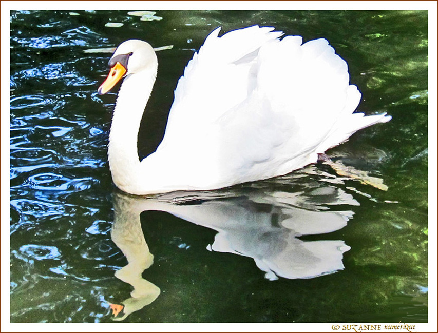 Miroir, mon beau miroir, que fais-tu de mon reflet�? -- 14/11/09