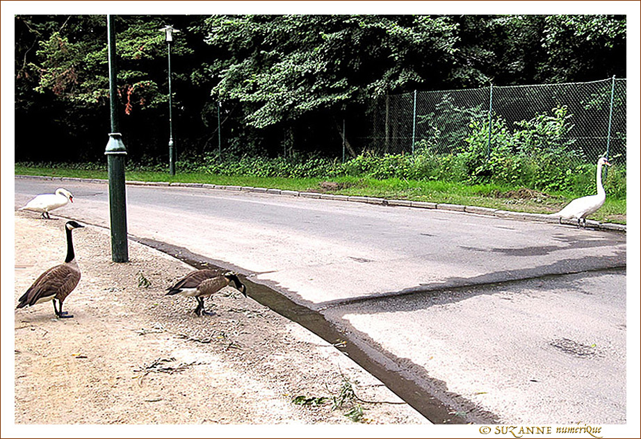 Il faut aller le chercher -- 05/08/10