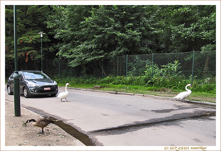 L'amiti� quand m�me...
