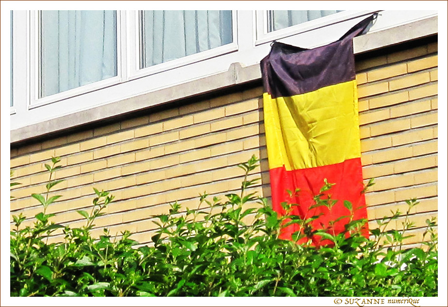 Fra�chement sorti pour la F�te Nationale Belge 21 juillet 2017
