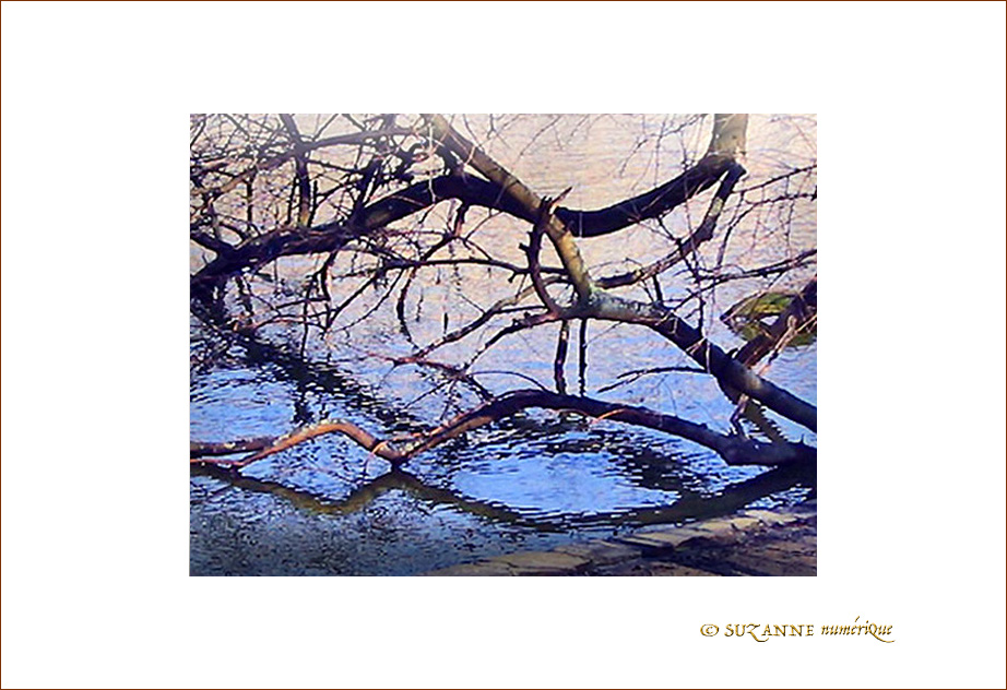 Bois l'Eau -- 06/09/07