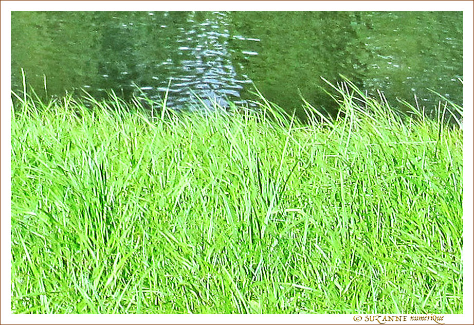 Dimanche au bord de l'eau