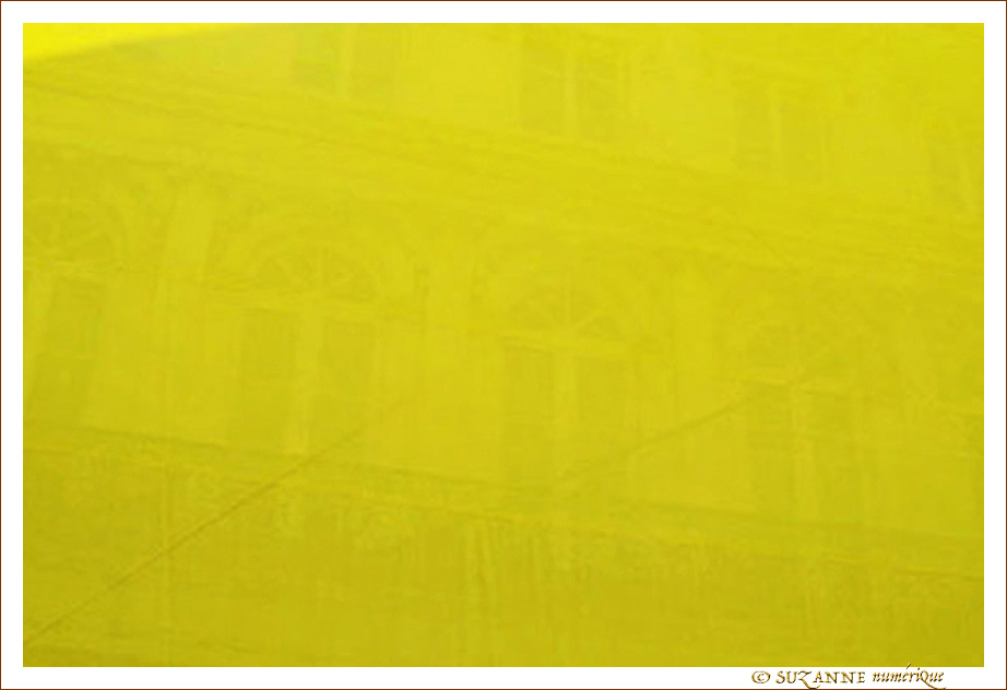 Jaune Drapeau