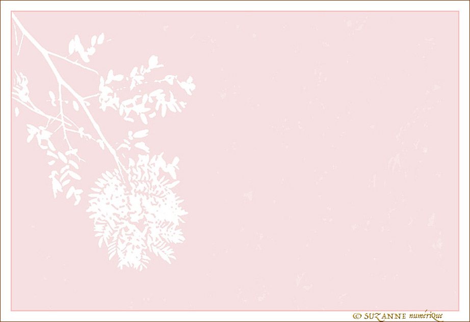 Quand on pense au Printemps -- 05/02/14