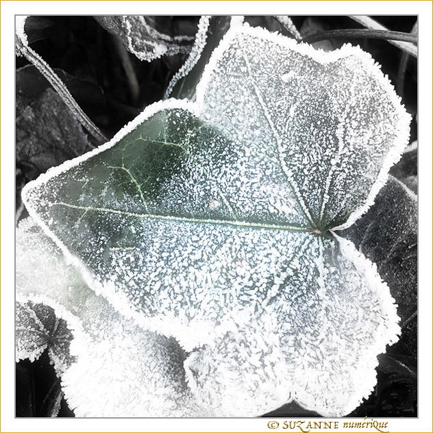 � moiti� Givr�e -- 26/01/19