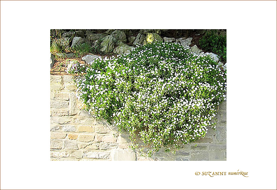 Blanche cascade