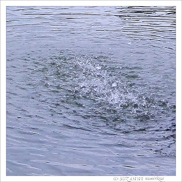 Oh�! Fra�cheur�! -- 03/09/09