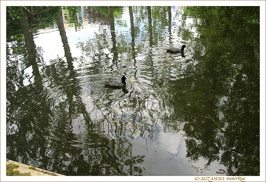 Si on Jouait � celui qui fait le plus de Ronds dans l'Eau�? -- 30/08/12