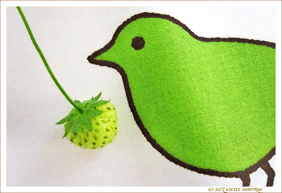 La Fraise et l'Oiseau -- 08/06/13