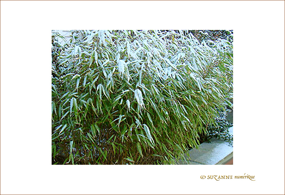 Givre sur la ville -1-