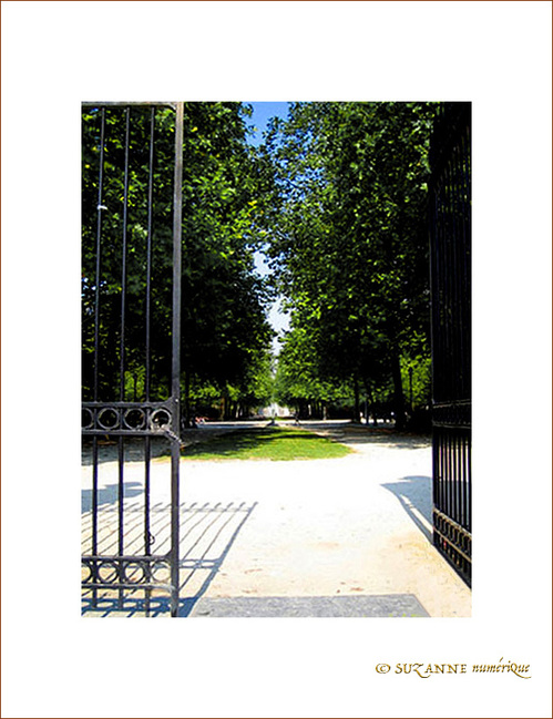 Entrez �