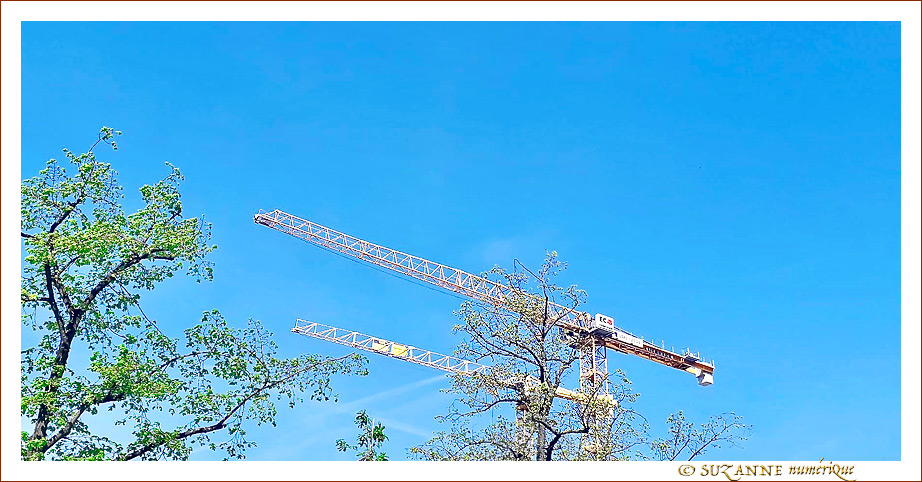 Chantier de Printemps - 2022 -- 21/06/22