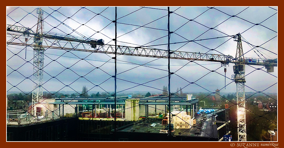 Dans le Brouillard... des Grues -- 23/02/24