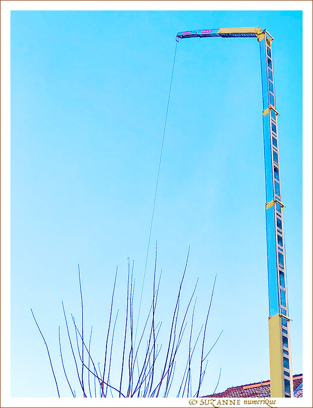 Grue Couleur du Ciel -- 07/01/23