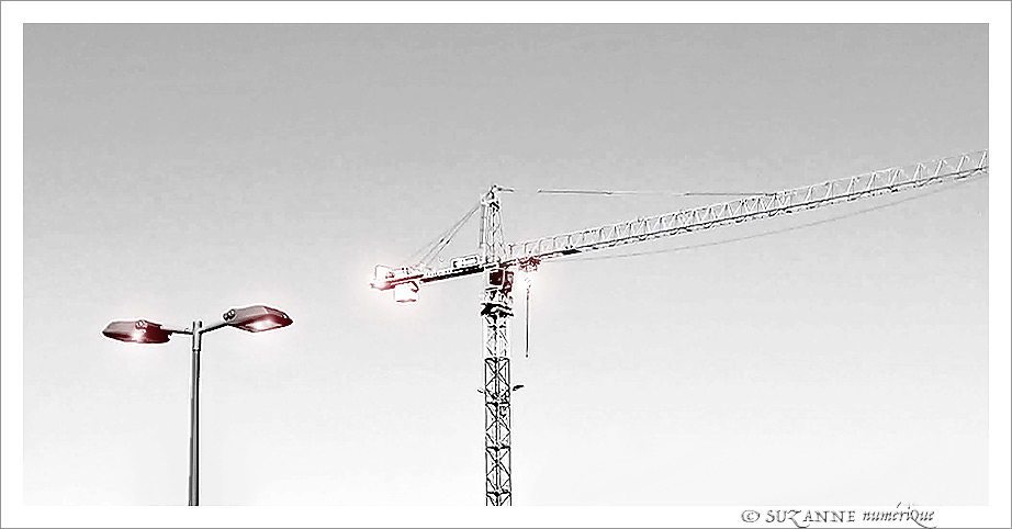 Silhouettes majestueuses -- 03/04/22