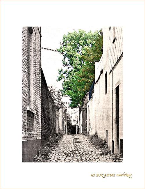 Vers les Libert�s