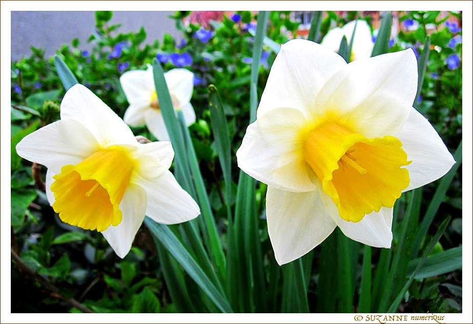 V'la l'Printemps -- 16/04/14