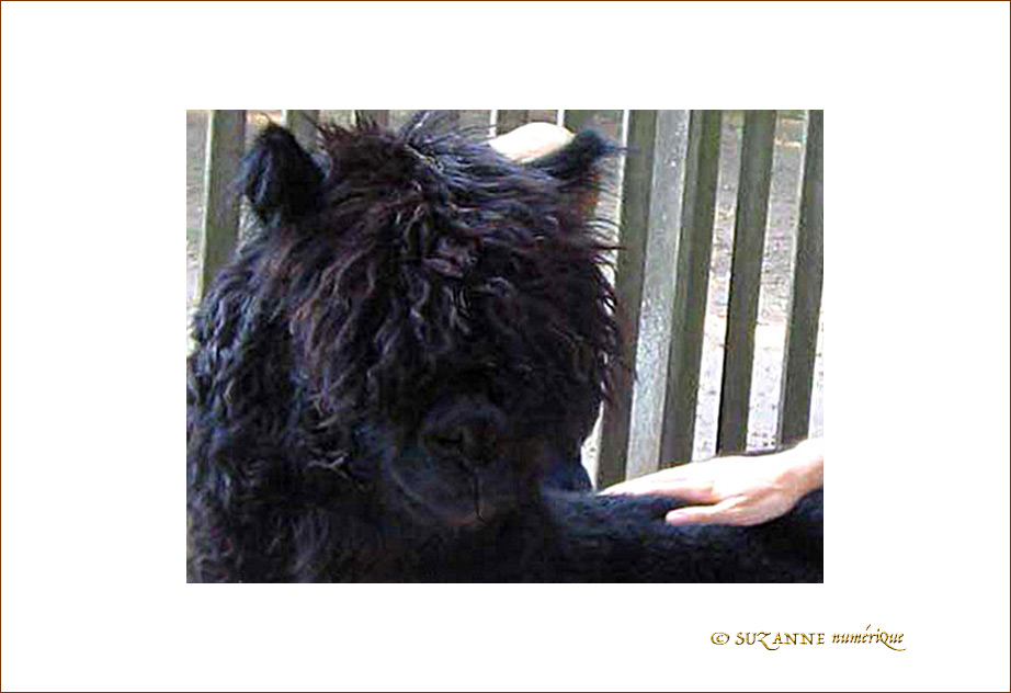 Je suis noir�! Je suis...? -1- -- 09/09/04