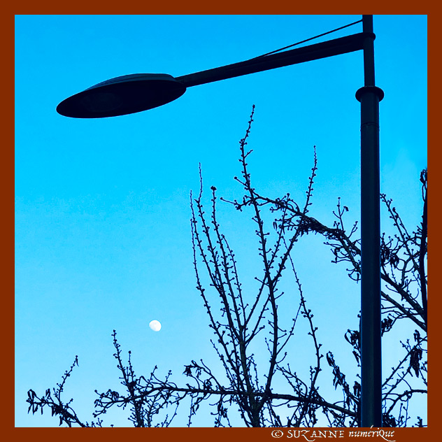 Un apr�s-midi d'Hiver -002- 2023 -- 15/03/23