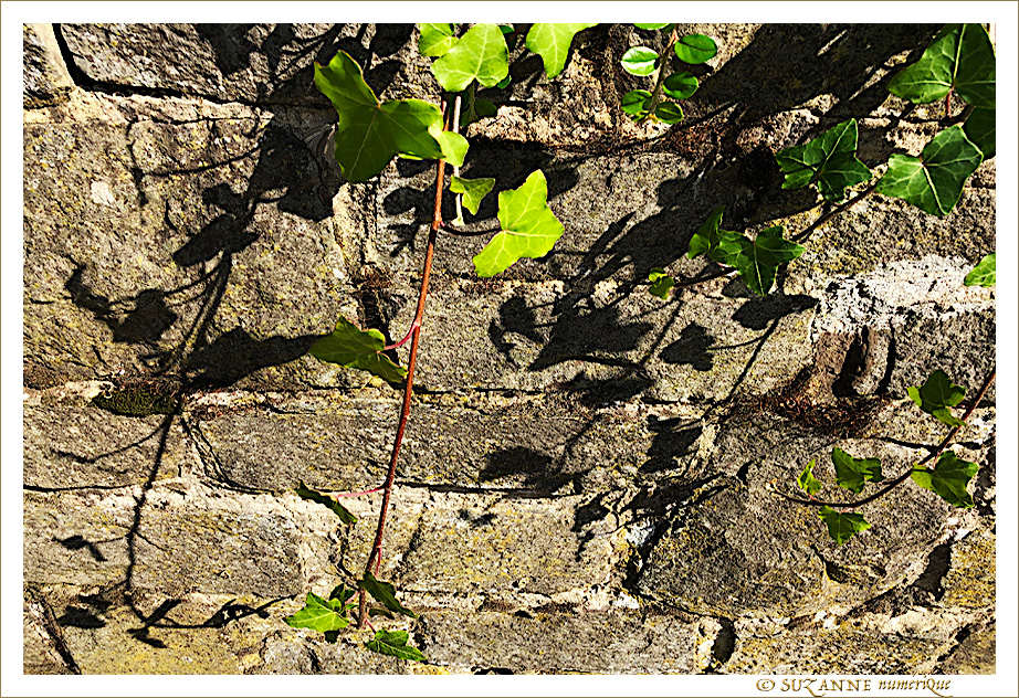 Sous le Soleil -01- �t� 2021 -- 23/07/21