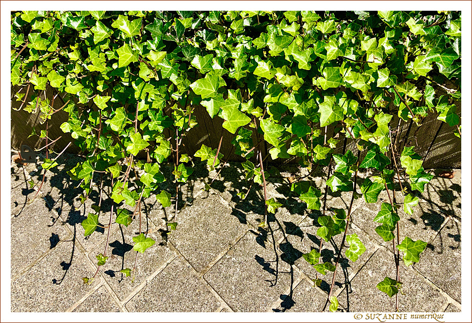 Sous le Soleil -07- �t� 2021 -- 05/09/21