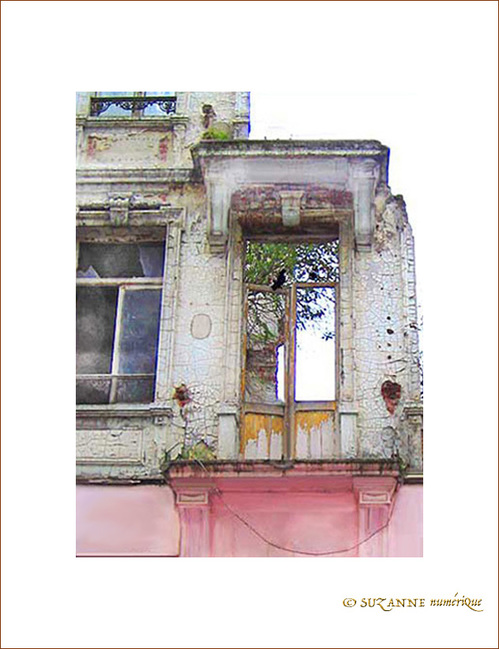 Maison r�serv�e aux Oiseaux -- 30/06/05