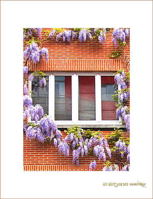 Rien de tel que son Chez soi -- 03/06/09