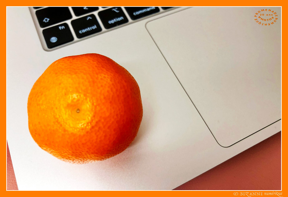 Vitamines pour l'Hiver