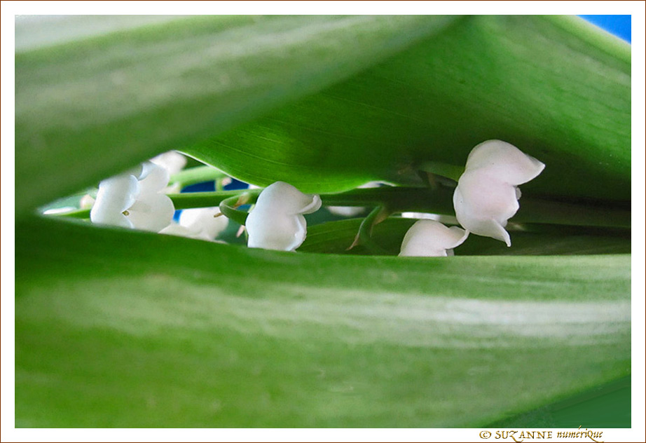 En mai ne te d�couvre pas -- 04/05/10