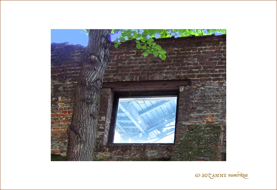 De l'autre c�t� du Mur