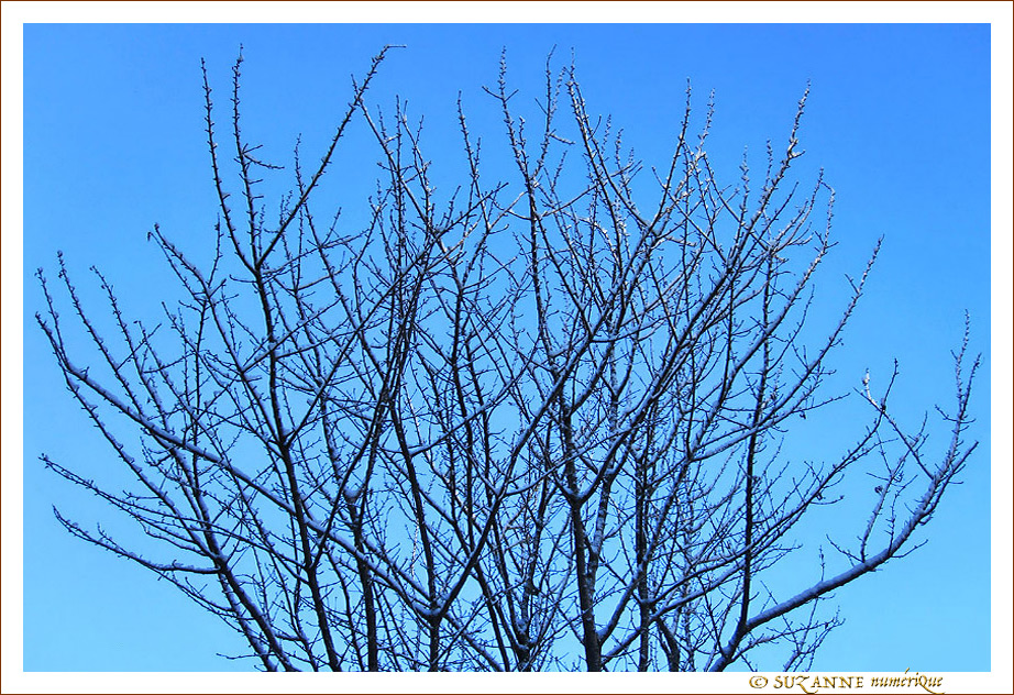 Neige finesse -- 10/01/11
