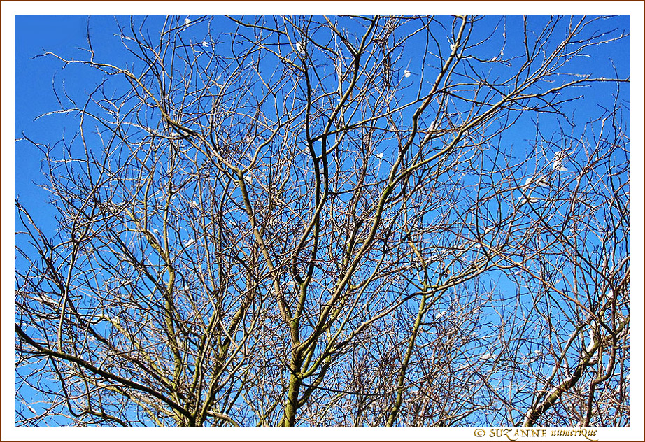Flocons l�gers -- 12/01/11