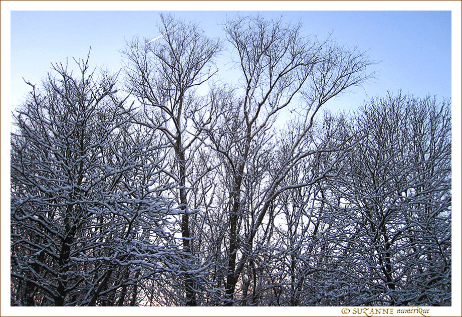 Douce couverture -- 11/02/11