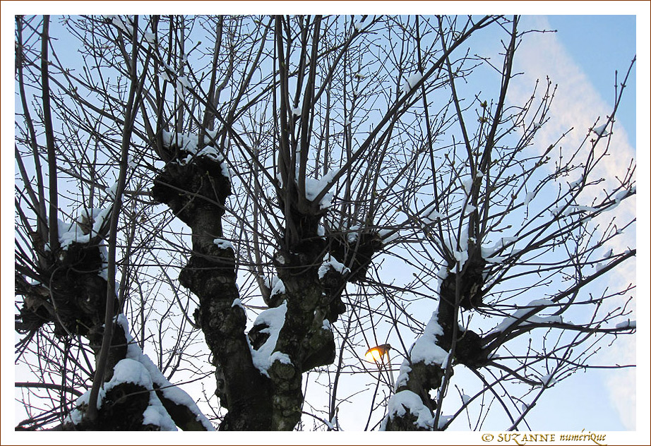 �claircie -- 28/01/11