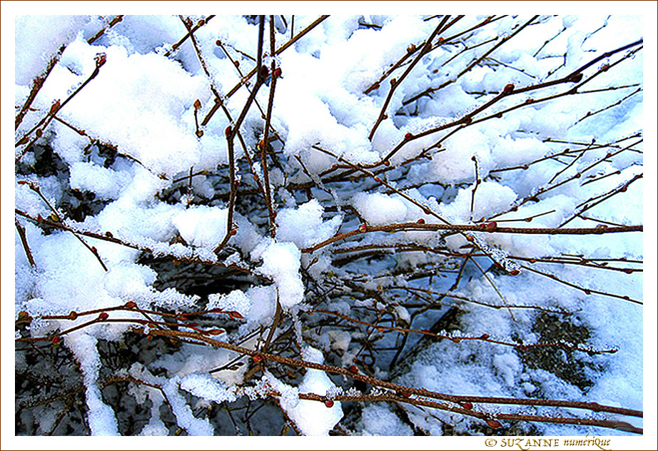 Ouate Branch�e -- 17/02/12