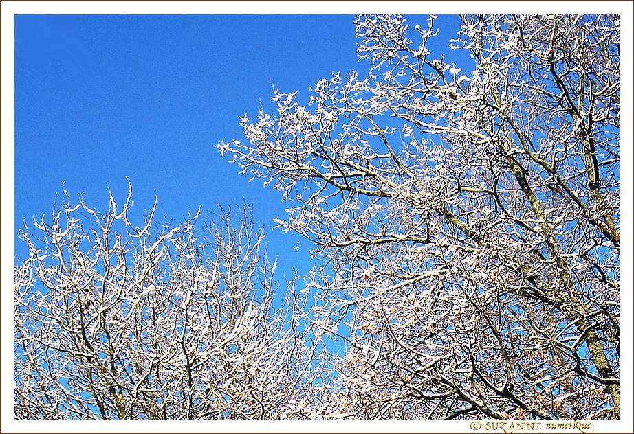 La Neige �tait arriv�e comme un cadeau de Fin d'Ann�e