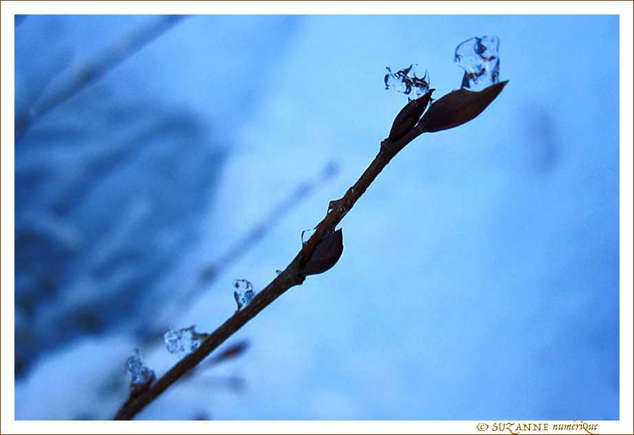 Quand le Soleil fait fondre la Neige