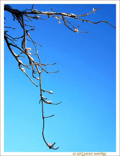 Dans le creux de la main -- 06/01/11