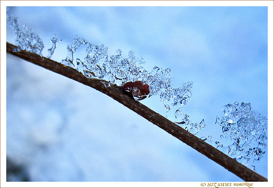 Toboggan pour cristaux -- 04/01/11