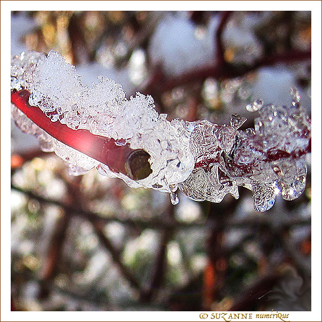 Le Feu et la Glace -- 25/01/15