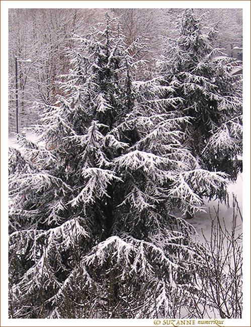 Neige entre ombre et lumi�re