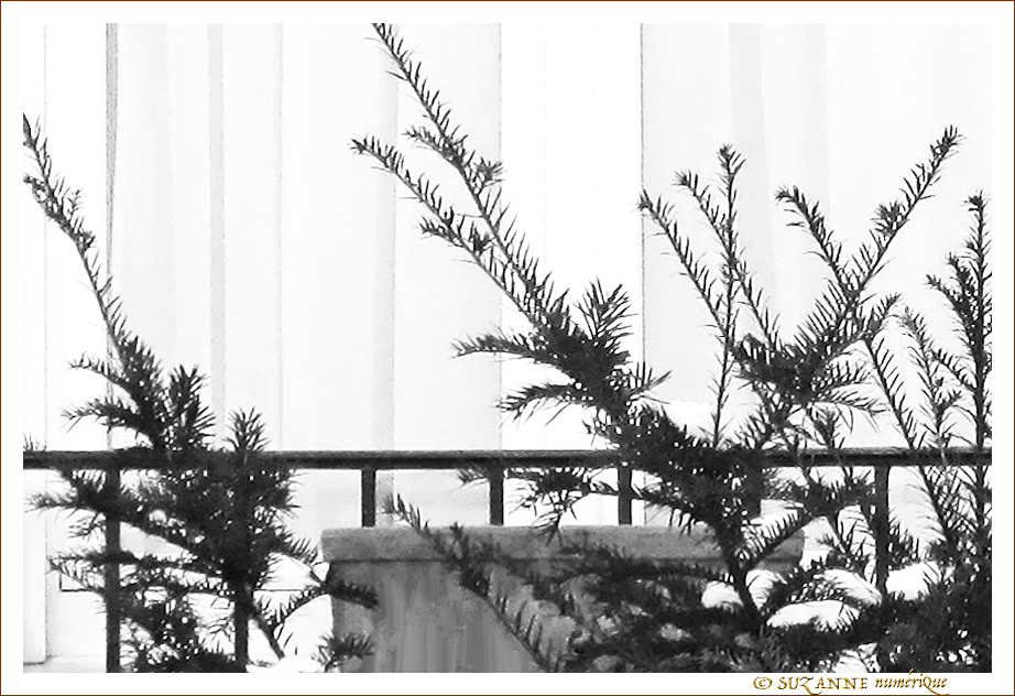 Neige au balcon -- 25/01/10